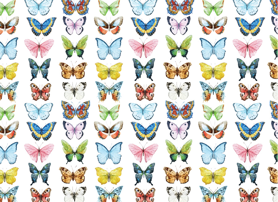 Beautiful Butterfly Birthday