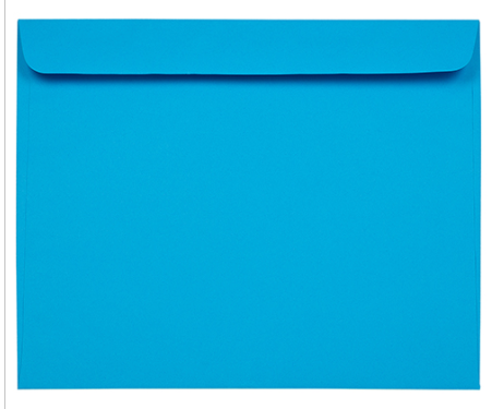 Rush Packet Full Page Envelopes