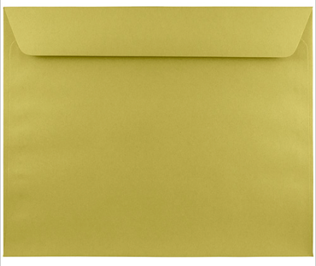 Rush Packet Full Page Envelopes