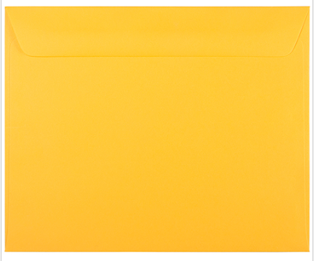 Rush Packet Full Page Envelopes